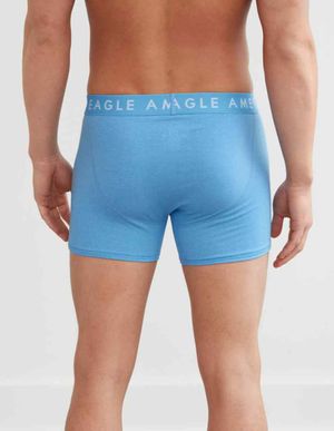 Boxer AEO 4.5" Classic Brief