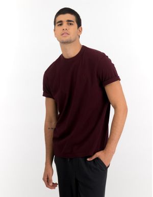 Polera Super Soft Icon American Eagle