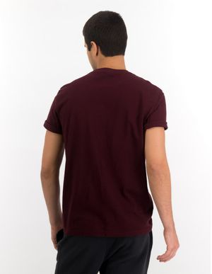 Polera Super Soft Icon American Eagle