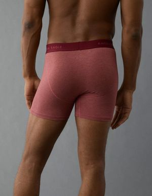 Boxer AE Roosters 6" Classic Brief
