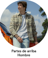 Partes de arriba hombre american eagle